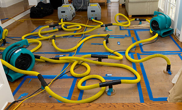 Professional Sewage Cleanup technician working in Princeton, NC